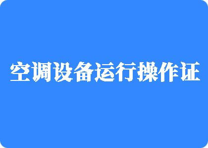 爆揷大骚逼制冷工证